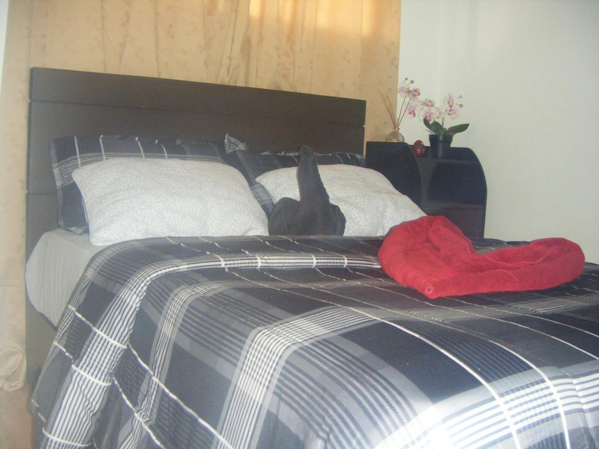 The Oasis Davao Condotel Екстериор снимка